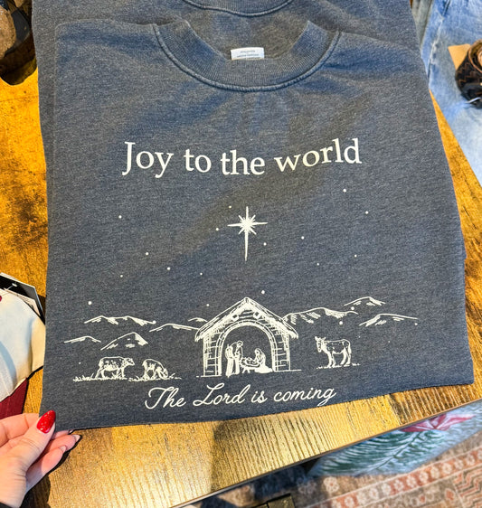 Joy to the World Sweater