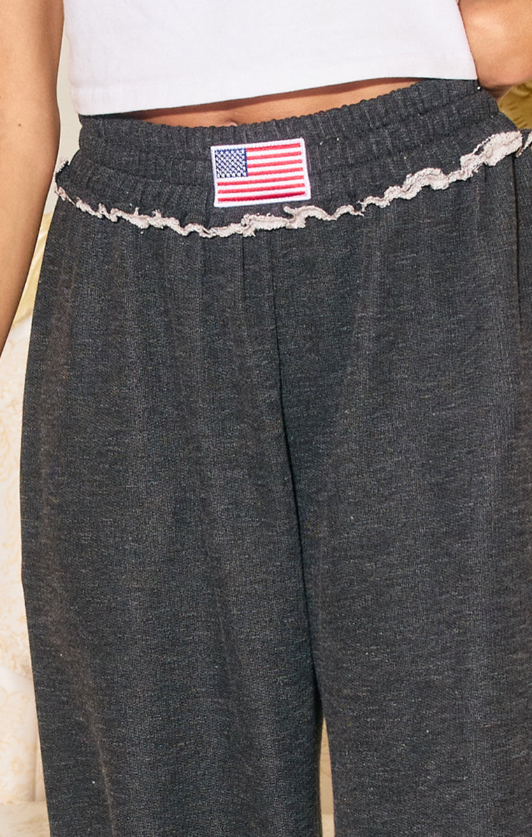 USA Flag Pants
